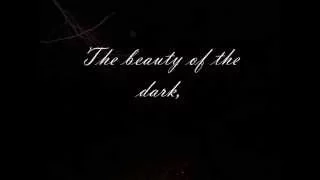 Beauty Of The Dark Mads Langer+lyrics