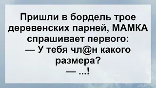 Трое деревенских парней в Борделе! Анекдот дня для настроения! Юмор! Смех! Позитив!