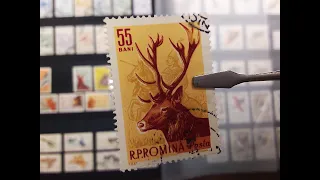 Коллекция почтовых марок - Альбом марки фауна Венгрия и Румыния - fauna stamps collection