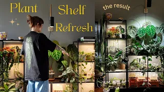 major plant shelf refresh ✨🌿🧼  new light install, cleaning, watering plants, & re-organizing plants