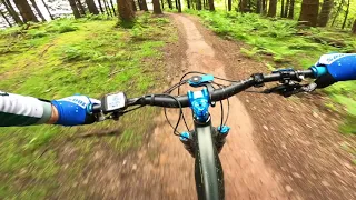 Countdown and Launchpad (full run) Forest of Dean