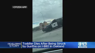 Toddler Shot And Killed By Stray Bullet On I-880 In Oakland