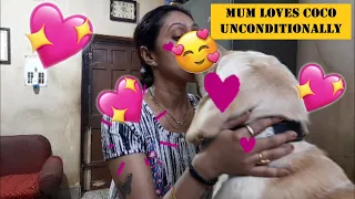 MUM SHOWERS LOVE ON COCO | WATCH THE FUNNY & LOVING VIDEO OF MUM ADORING CRAZY COCO...🥰💖🥰💖🥰💖🐕‍🦺🐕‍🦺