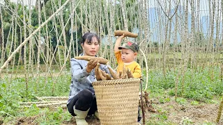 Single mother - Harvesting cassava to sell at the market. Complete the kitchen with bamboo