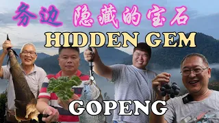 Uncle Lee found Gopeng's hidden gem | 务边隐藏的宝石 | 菊姐8号粉档 | OIC CAFE | AGROTECH | KYOHO GRAPE | PERAK