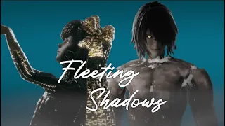 Fleeting Shadows - a NieR remix