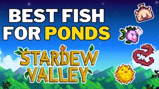 The BEST Fish for Fish Ponds in Stardew Valley
