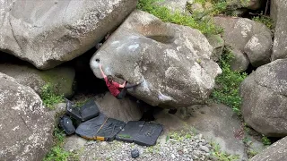 Oriane au nouveau secteur