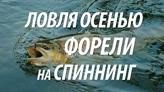 ЛОВЛЯ ФОРЕЛИ НА СПИННИНГ. РЫБАЛКА НА ФОРЕЛЬ ОСЕНЬЮ НА ПЛАТНИКЕ