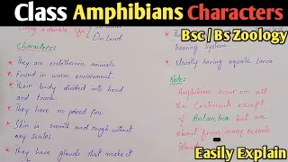 Class Amphibia | General Characteristics And Classification Of Amphibians | Class Bsc Zoology