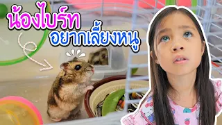 บริ้งค์ไบรท์ | เจอหนูแฮมเตอร์ แต่แม่กิ๊บไม่ชอบหนู ทำไงดี