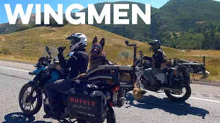S02-E06 🇺🇸 Two MOTO DOGS ride together in WINGMAN formation!