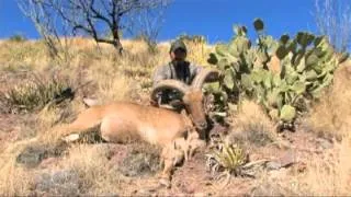 Texas Aoudad Hidden Creek Outfitters Dave Gomez