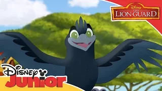 The Lion Guard - Bird of a Thousand Voices