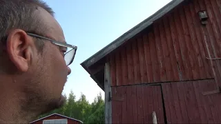 Viurusilimä ja MUUTA Juttua