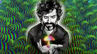 Terence McKenna • Hermeticism & Alchemy