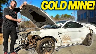 Salvaging A DESTROYED Shelby GT350!