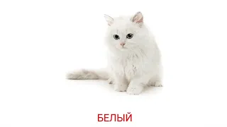 Карточки Домана учим Цвета