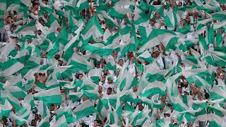 7 VEZES A TORCIDA DO PALMEIRAS FEZ O ALLIANZ PARQUE PULSAR