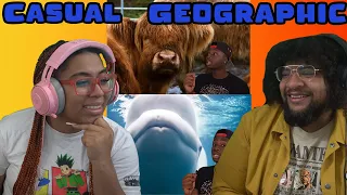 5 Animals We Should Be Thankful for | Casual Geographic REACTION ft Chavezz