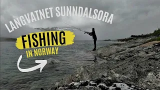 Sunndalsøra FISHING in Norway 🇳🇴