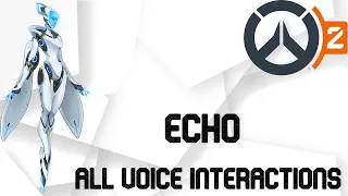 Overwatch 2: Echo Interactions