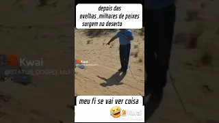 peixes aparecem no deserto