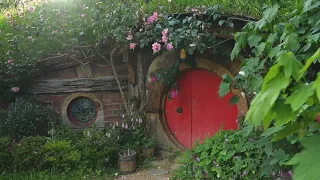 Hobbiton™ Movie Set 2021