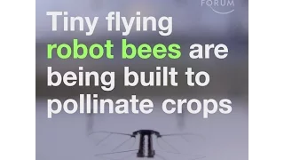 Tiny flying robot bees are being built to pollinate crops