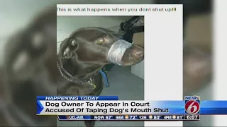 Woman in duct-tape dog photo to appear in court