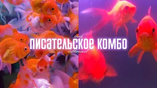 писательское комбо: вдохновение, навык писательства, продуктивность | саблиминал