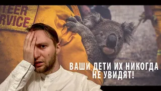 Ваши потомки их никогда не увидят! | Недавно вымершие животные