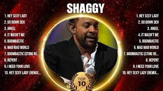 Shaggy Top Hits Popular Songs - Top 10 Song Collection