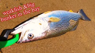 Weakfish, flounder & Big bunker great day fishing #jamaicabay  #weakfish #nycfishing