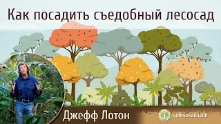 КАК ПОСАДИТЬ СЪЕДОБНЫЙ ЛЕСОСАД (Джефф Лотон)