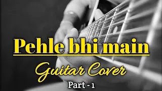 Pehle bhi main guitar cover | part 1 | Animal