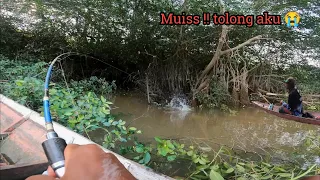 benar benar spot idaman ikan gurame di hutan ini besar besar di jamin ngiler