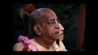Service Means that you Obey the Order of the Master - Prabhupada 0044
