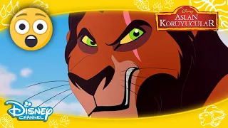 😮🎶SCAR'IN ŞARKISI🎵😱| Aslan Koruyucular | Disney Channel Türkiye