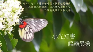 靈修:小先知書-偏離異象 20240502