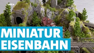 Miniatureisenbahn XXL - Die Weltenerschaffer von Gau-Algesheim