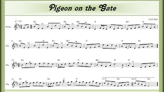 Pigeon on the Gate