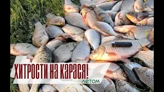 Секреты ловли карася летом!