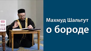 Шейх Махмуд Шальтут о бороде