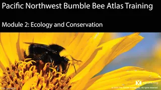 Pacific Northwest Bumble Bee Atlas Training: Module 2 -- Bumble Bee Ecology and Conservation