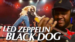 FIRST TIME HEARING LED ZEPPELIN "Black Dog" (Live at Madison Square Garden 1973) (Official Video)