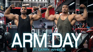 Arms with Larry Wheels