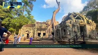 Amazing Angkor Wat, The Ancient Mystery Of Cambodia’s Lost Capital | The City Of God Kings