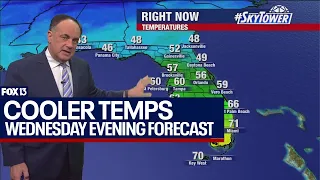 Cooler temperatures blanket Tampa Bay area