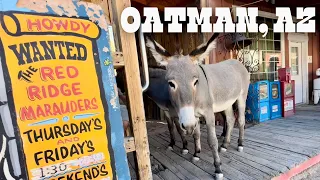 My Favorite Town Off Route 66 | Feeding Donkeys, Western Town, Active Mine & More | Oatman, Arizona